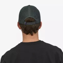 Ball Caps & Sun Hats Patagonia Fitz Roy Trout Trucker Hat