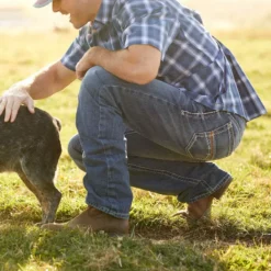 Ariat Men's M4 Low Rise Coltrane Boot Cut Jeans (10017511)
