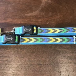 Chaco Dog Leash