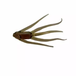 Soft Plastics Clam Maki Maki Soft Plastic Bait