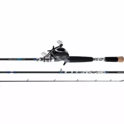 Daiwa Procaster 80 System