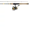 Daiwa Revros LT Freshwater Spinning Combo