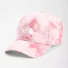 The North Face Recycled 66 Classic Hat