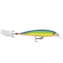 Crankbaits Rapala X-Rap XR-4