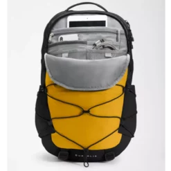 The North Face Borealis Backpack